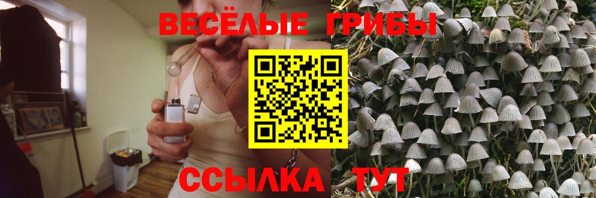 Псилоцибиновые грибы GOLDEN TEACHER Городец