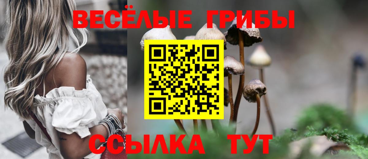 Псилоцибиновые грибы мухоморы  Галлюциногенные грибы Magic Shrooms  Вход с VPN  Городец 